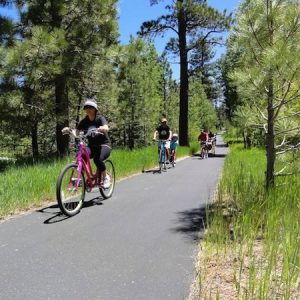 cruiser-bike-rides-south-tahoe