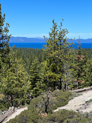 powerline-loop-trail
