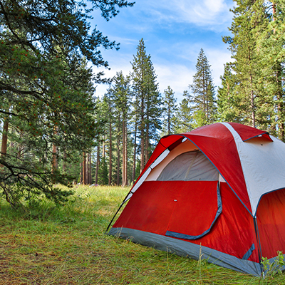 south-camp